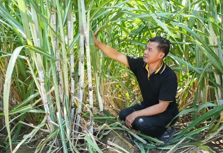 1694134390648024038.jpg 3.jpg