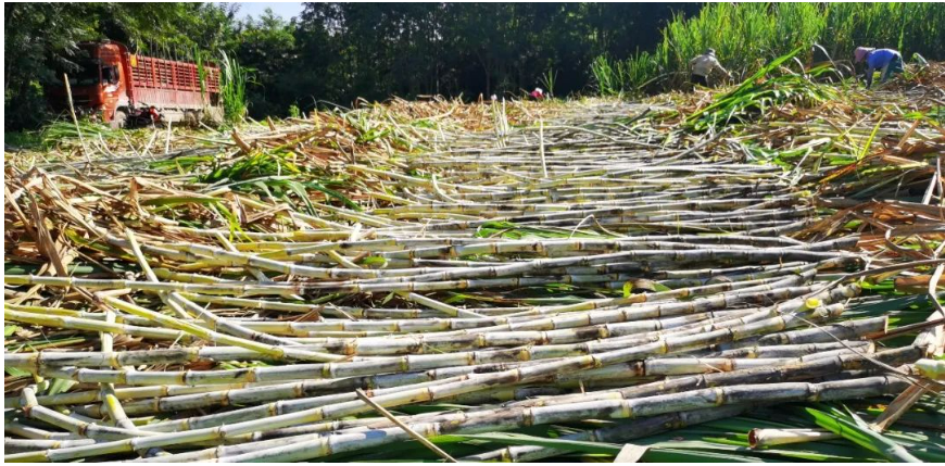 1694594030038019735.png image.png