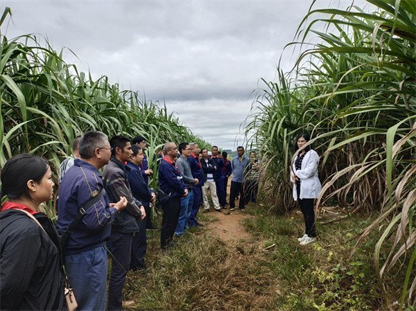 1695172889379099357.png 1.png