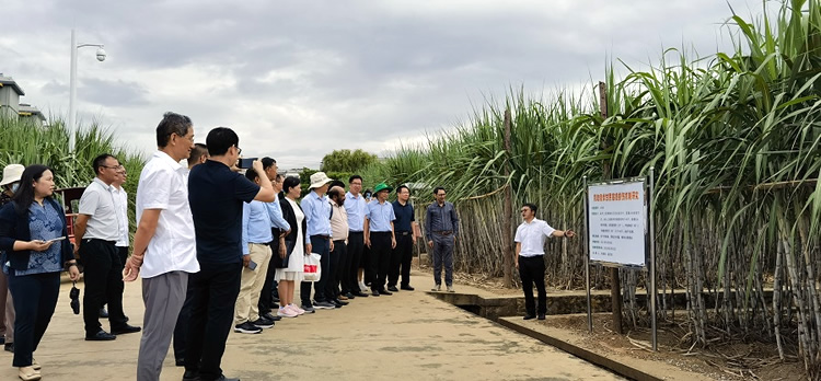 1695888909582079602.jpg 2023092713-2.jpg