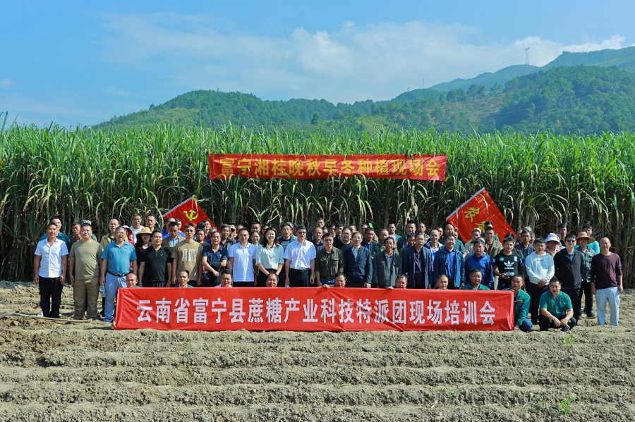 1697537378406050592.png 1.png