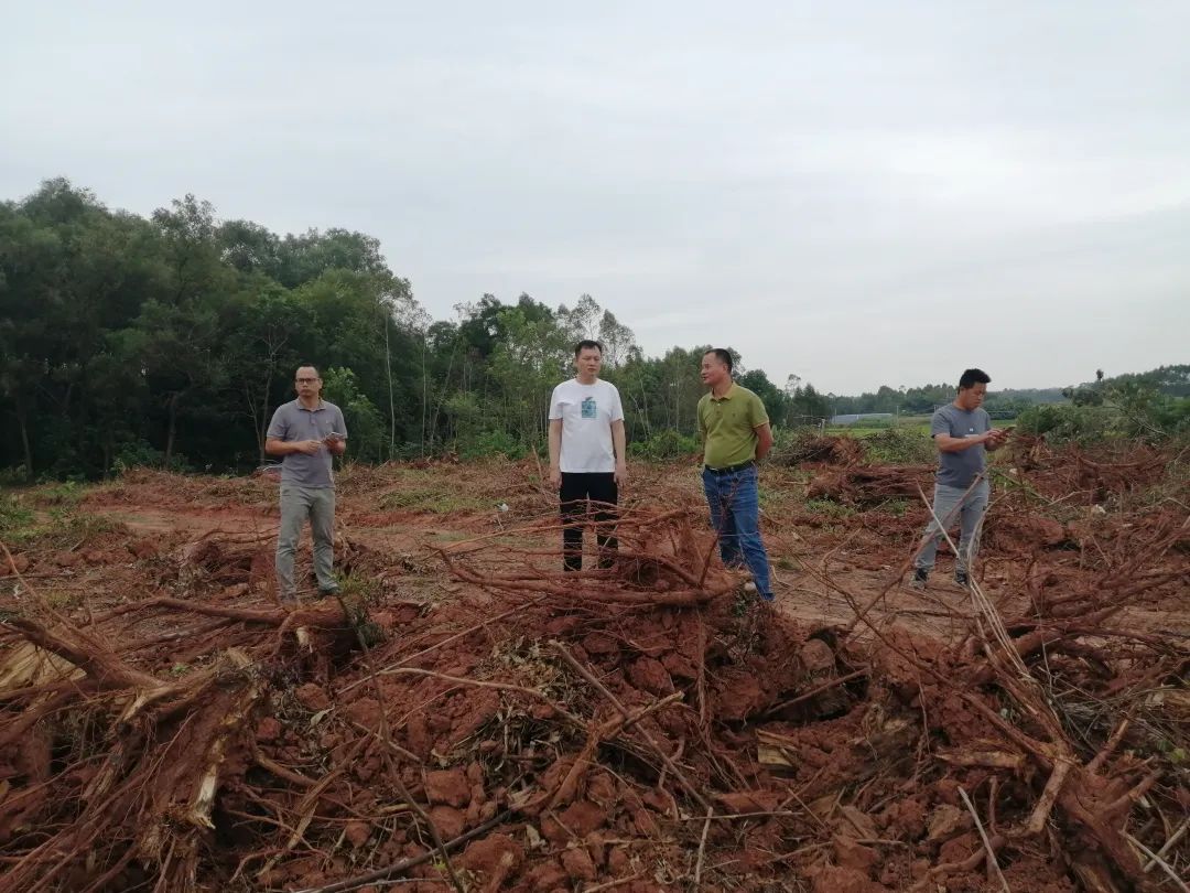 1698735301282026874.jpg W020231031346828153870_ORIGIN.jpg