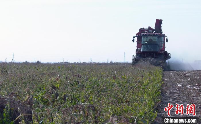 1699234614466090025.jpg 88924f79-6246-43e3-bb30-380740644b88_zsite.jpg