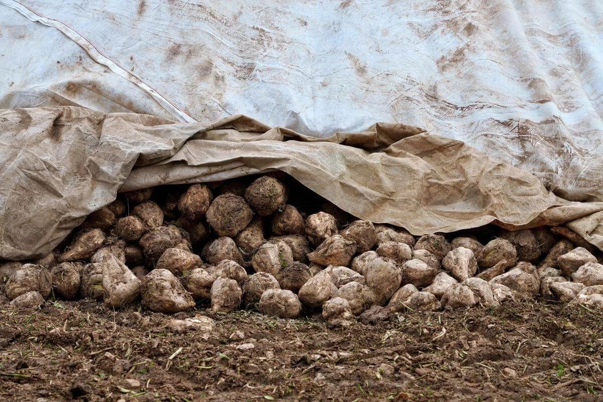 1699447052295010650.jpg eb2e4029c3196ac8fd38ef5f3be8ecf3.jpg