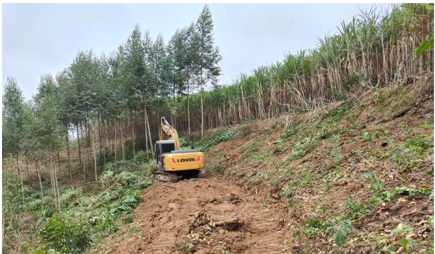 上上糖业积极助力地方政府推进“桉退蔗进”工作-食糖生产-国内新闻-新闻资讯-【泛糖科技】