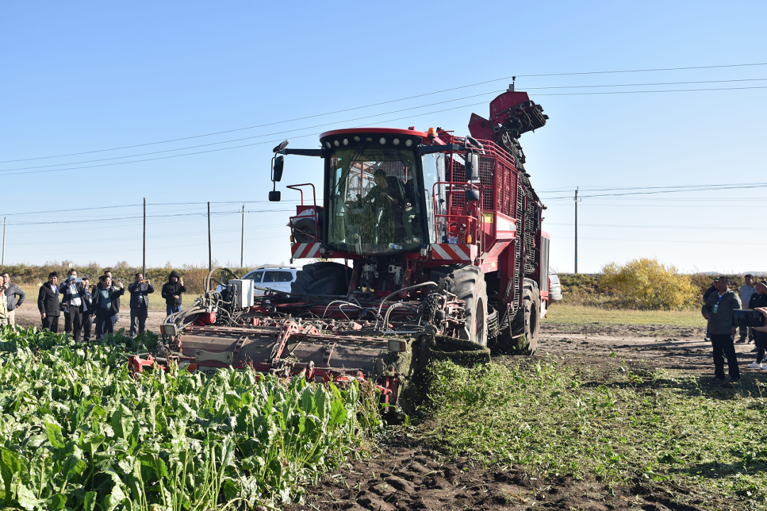 1701247408066019608.png 640.png