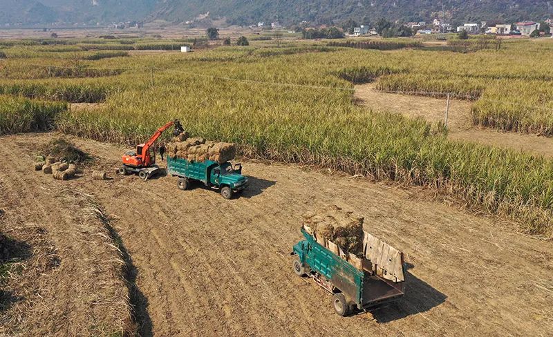 1701247426437027690.jpg 640.jpg