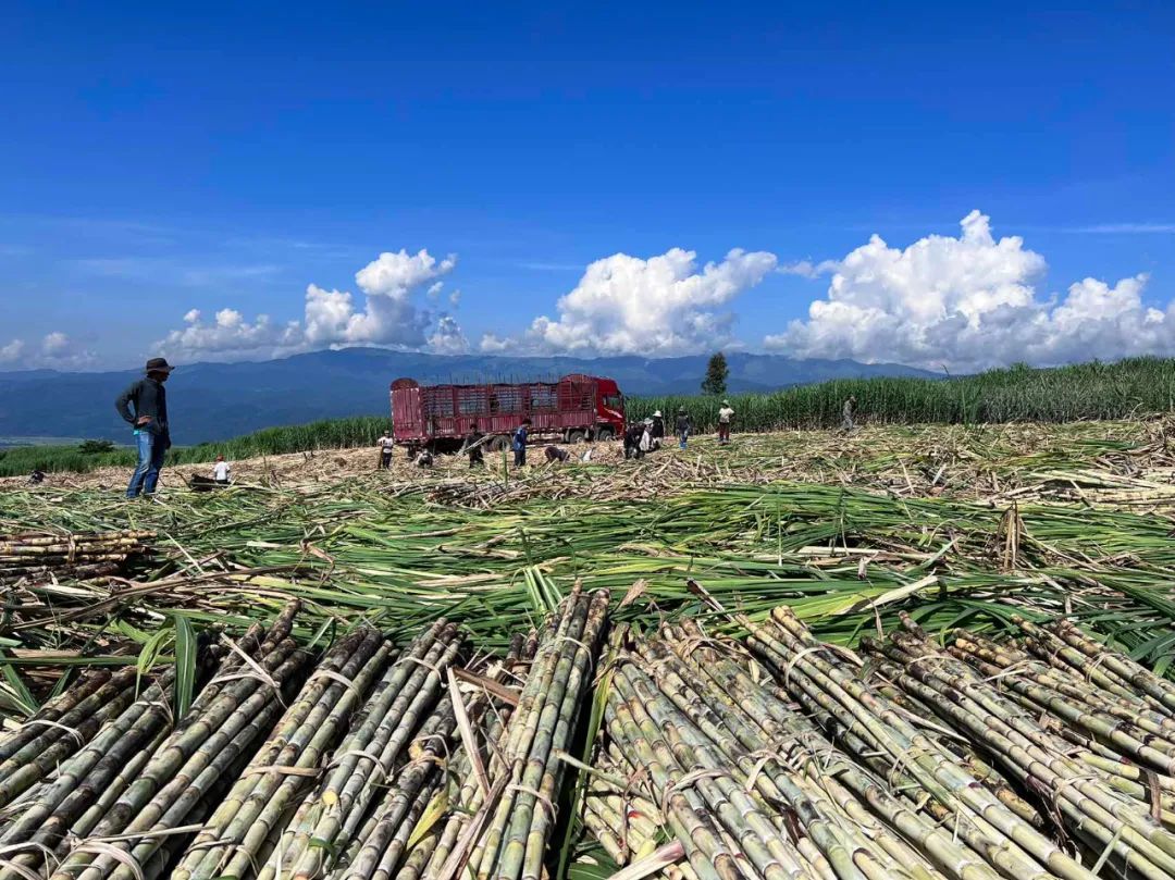 1701247438848099614.jpg 640 (1).jpg