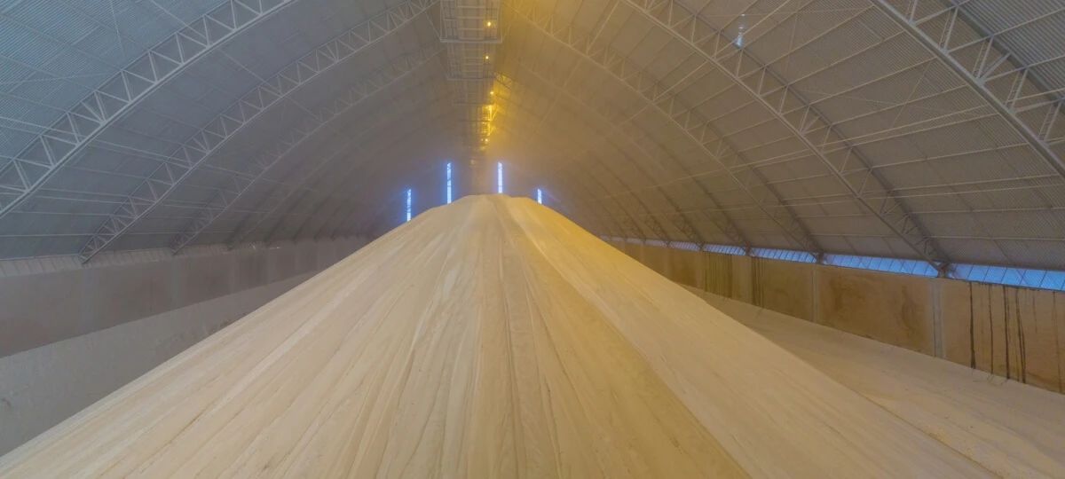 1702547147664053208.jpg 5b459696c94ed3bbd9cf7e38624d3630.jpg