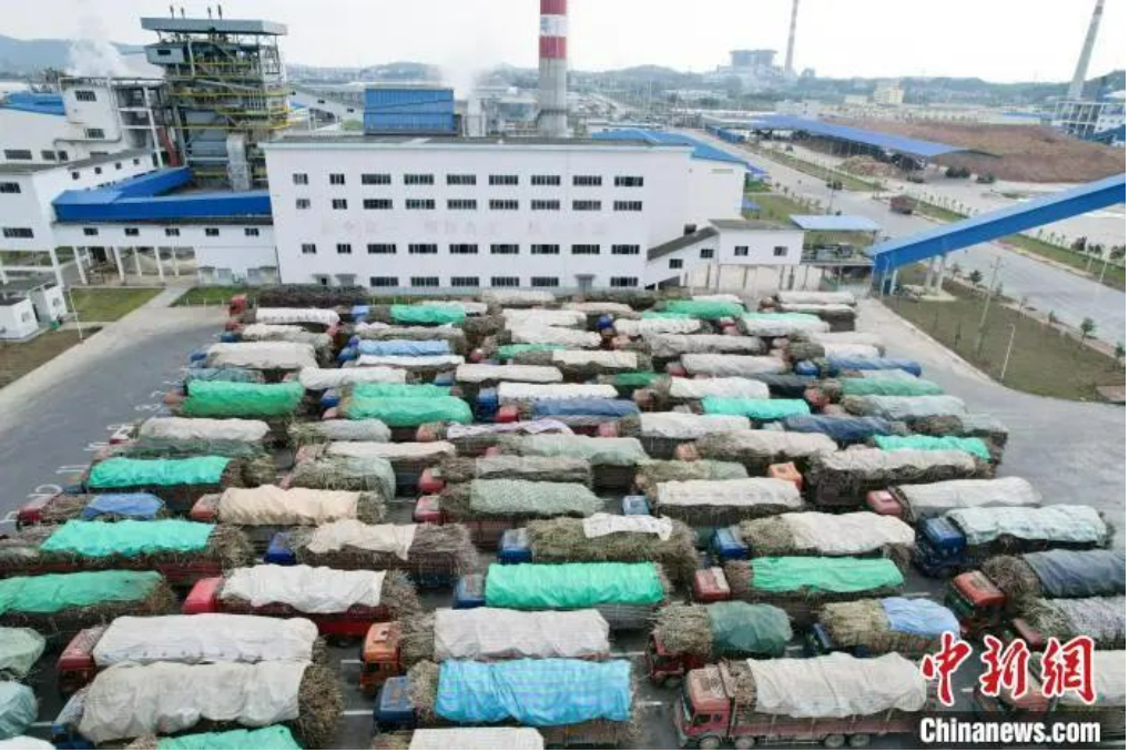 1703033923096001628.png 1703033917431.png