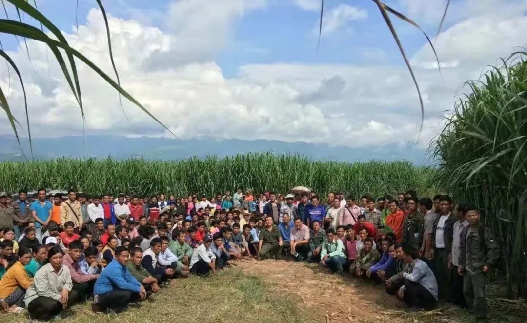 1703725238148016952.jpg 4.jpg