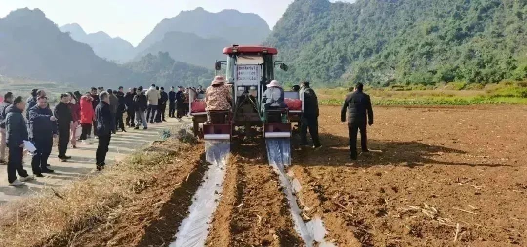 1704331238923057685.jpg 1.jpg