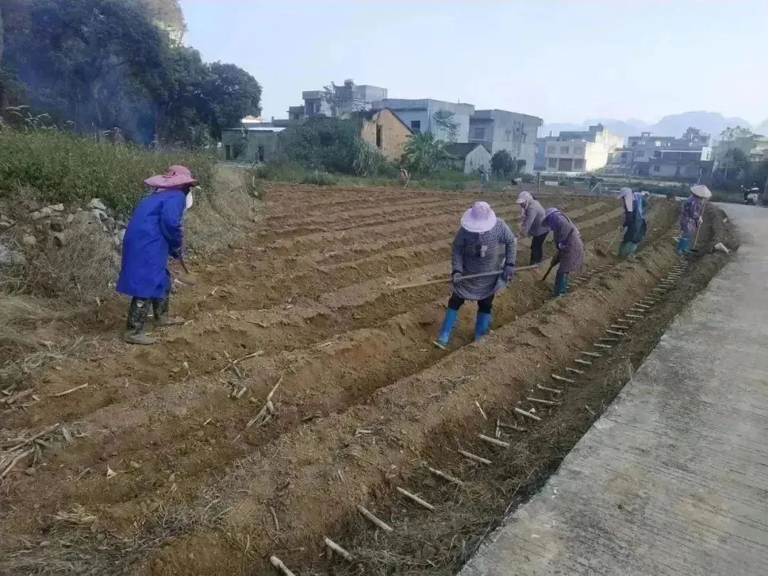 1704331251963057355.jpg 2.jpg