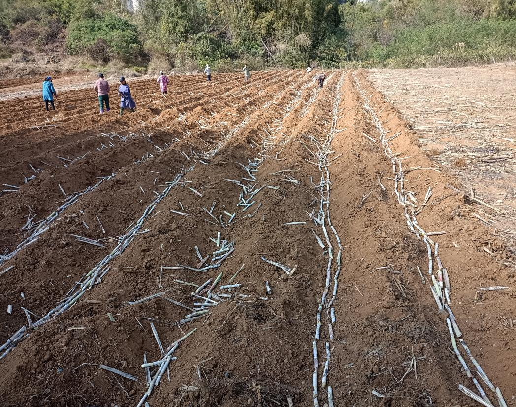 1704331282843071012.png 3.png