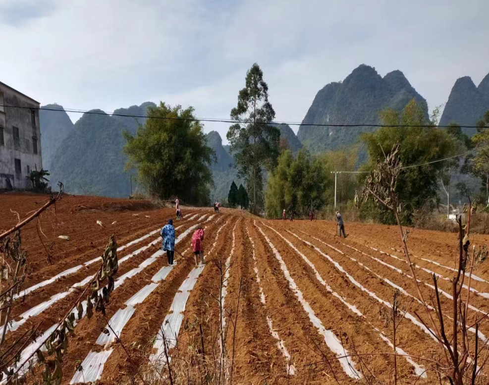 1704331294211022359.png 4.png