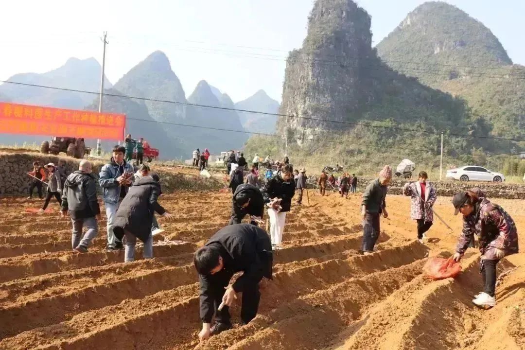 1704331323556083222.jpg 5.jpg