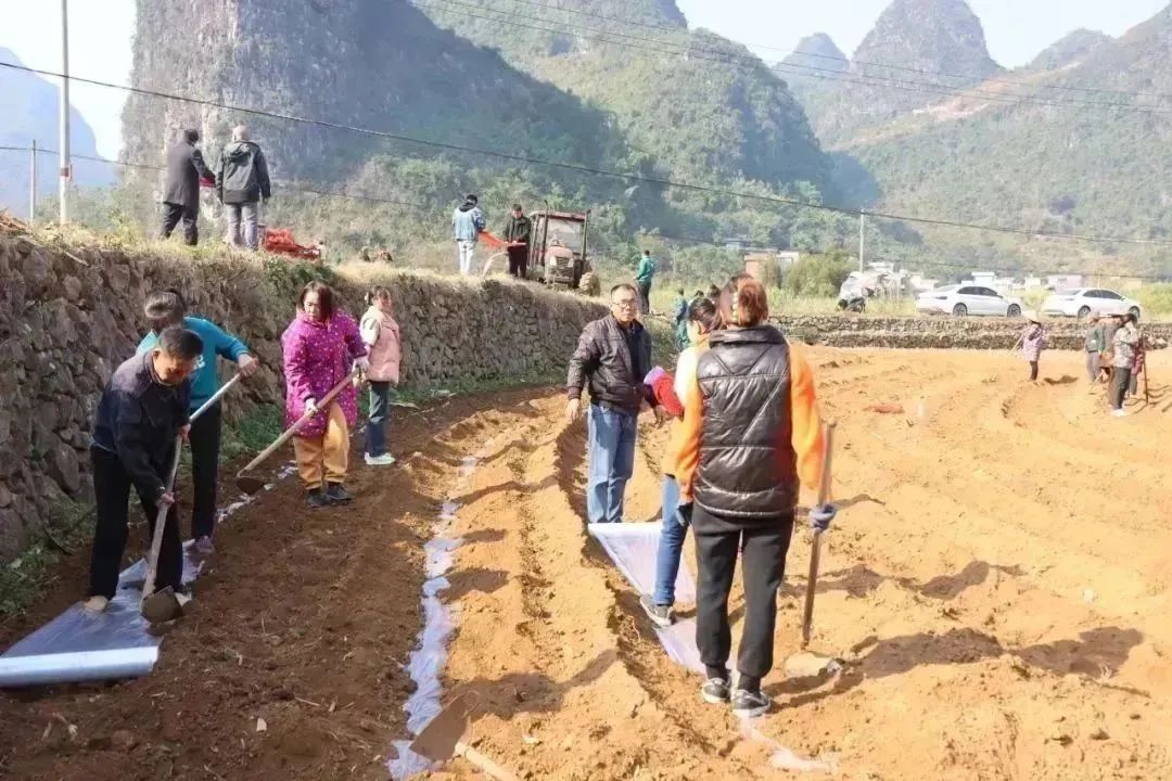 1704331332550057777.jpg 6.jpg