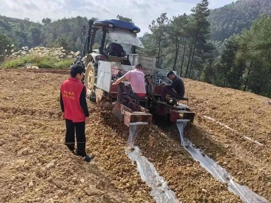 1704331372711050656.jpg 7.jpg