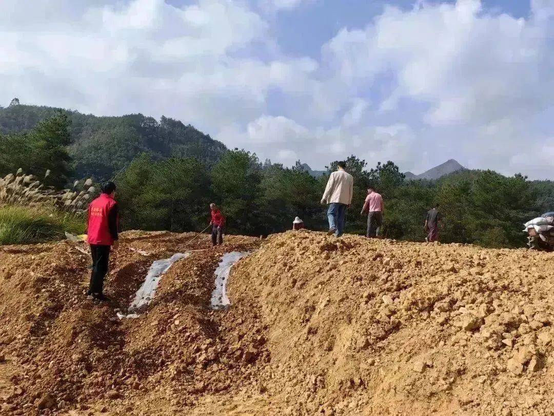 1704331381745025457.jpg 8.jpg