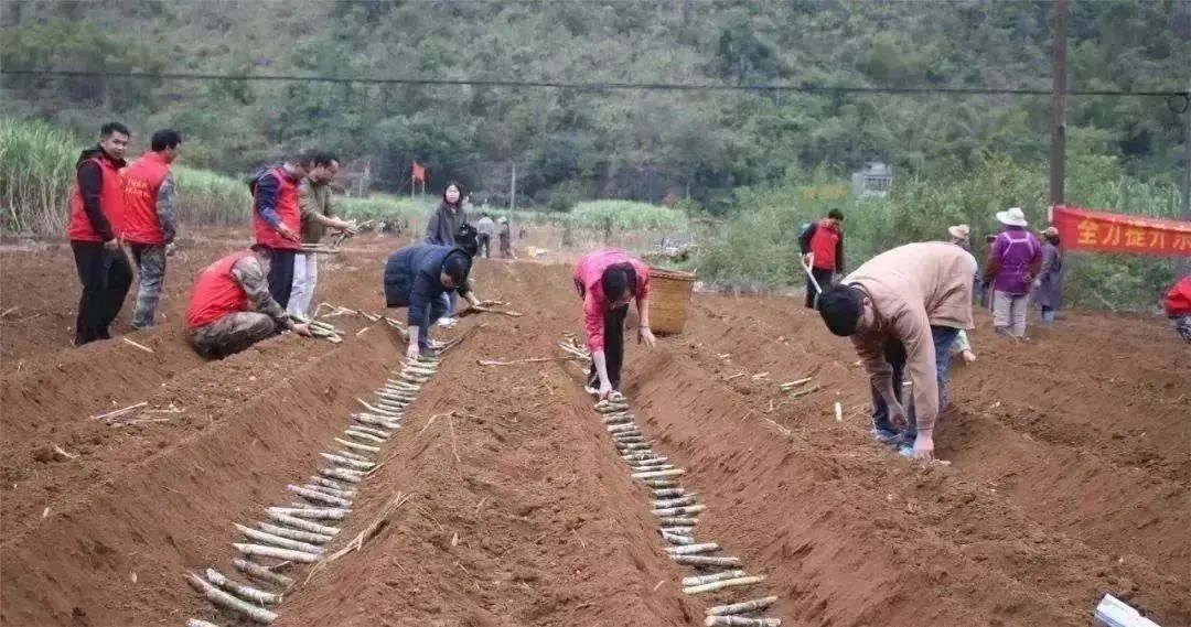 1704331399839055622.jpg 9.jpg