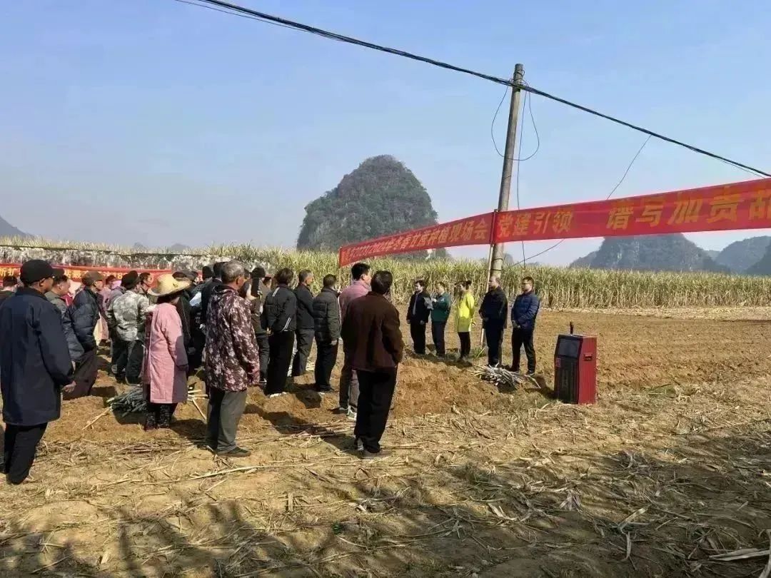 1704331448719024204.jpg 11.jpg