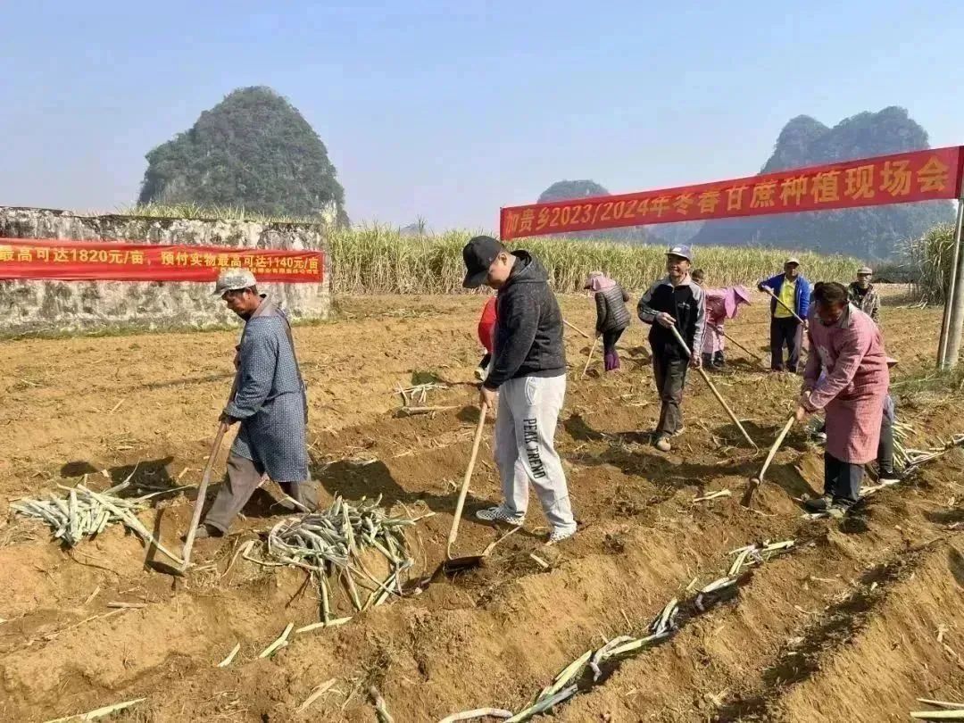 1704331474705017344.jpg 12.jpg