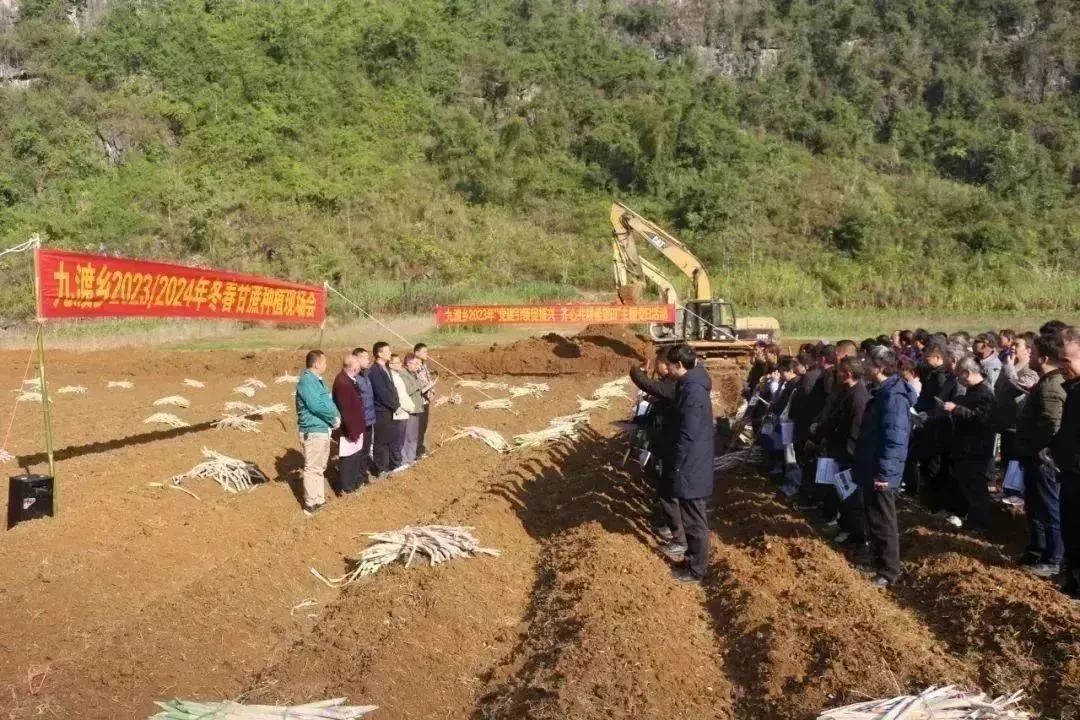 1704331489147023357.jpg 13.jpg