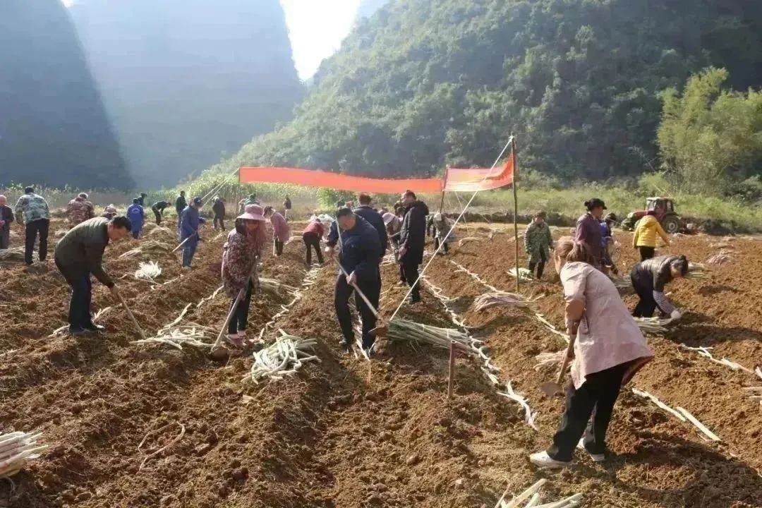 1704331501293035568.jpg 14.jpg