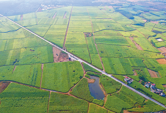 1705021099037084324.png 640.png