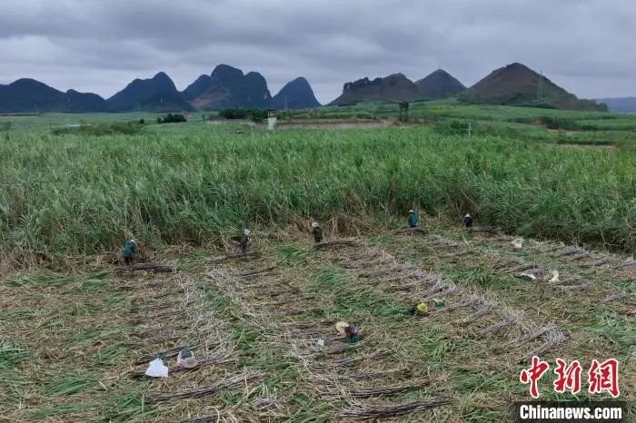 1706749040342061739.jpg 640 (1).jpg