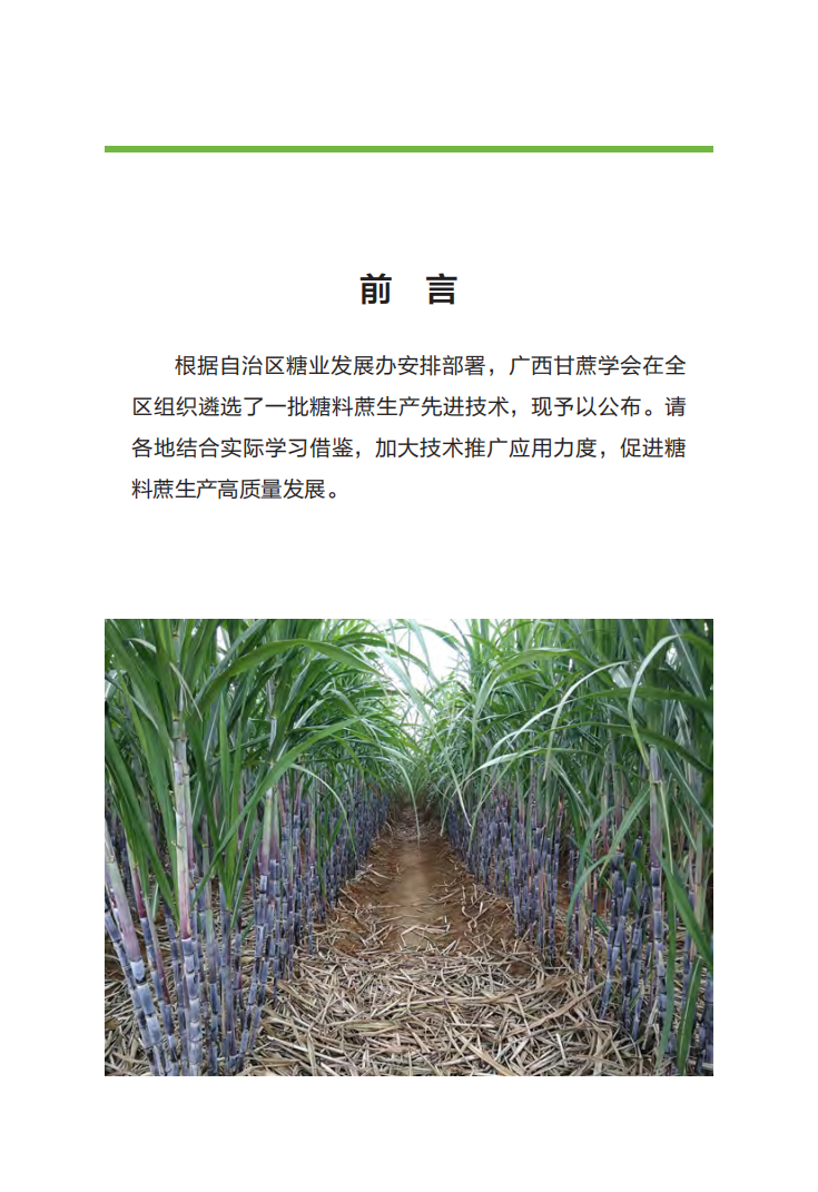 1707008244484060718.png 广西糖料蔗生产先进技术汇编(第一期)_01.png