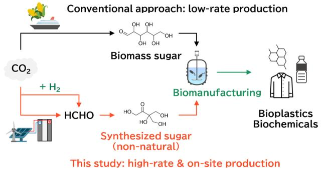 全球首个以「化学合成糖」为唯一底物发酵合成乳酸的研究908.png