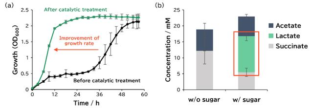 1708911398629052119.png 全球首个以「化学合成糖」为唯一底物发酵合成乳酸的研究1386.png