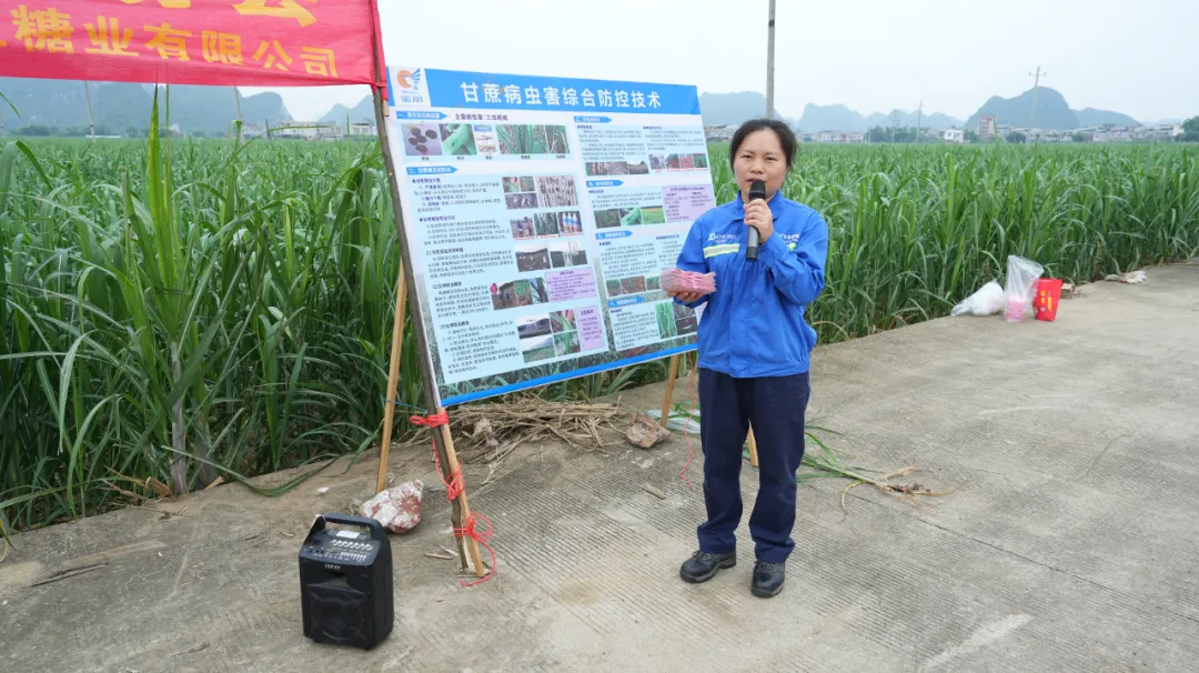 1716514062256048000.png image.png