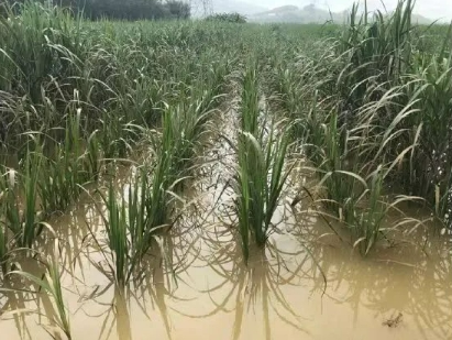 1720164902865030560.png image.png