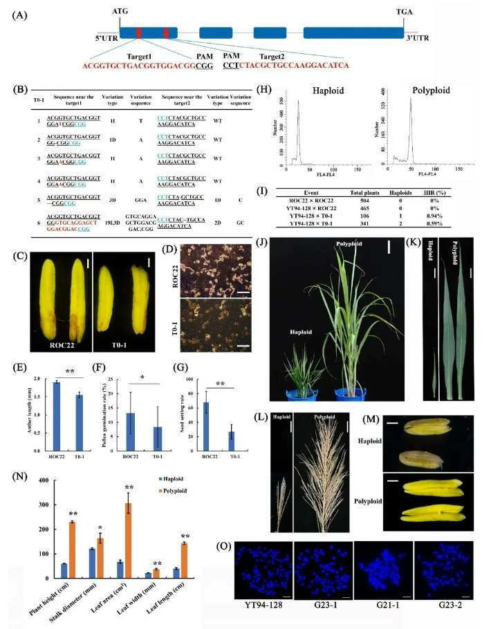 1724288799466027334.png image.png