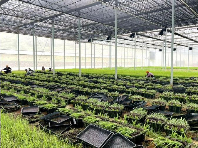 1725412554065098251.png image.png