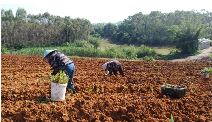 1725412593003006176.png image.png