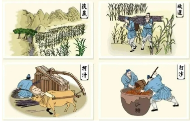 1727156363711041167.png image.png