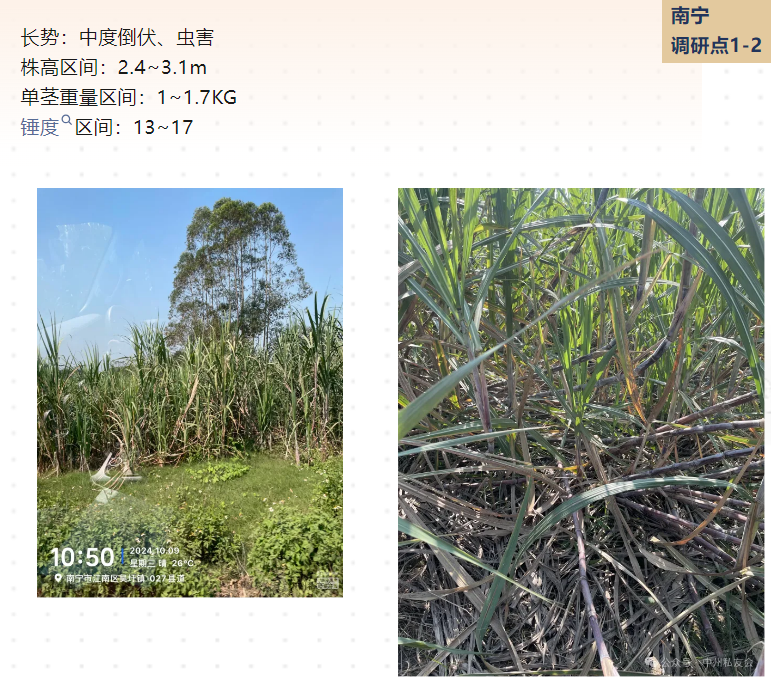 1729666928444049711.png image.png