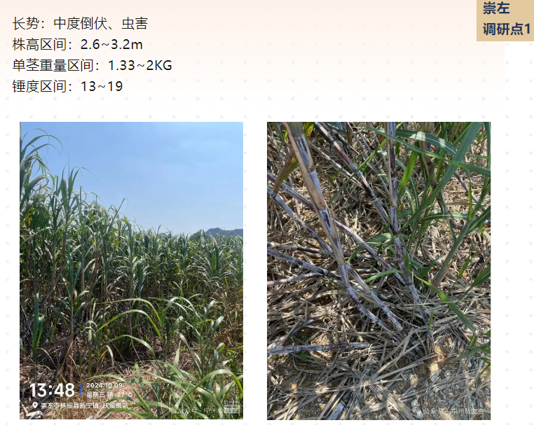 1729666945303021768.png image.png