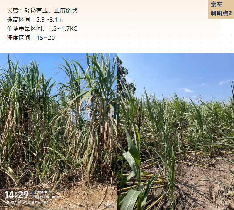 1729666963890097831.png image.png