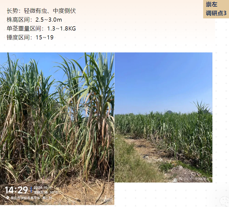 1729666981487057392.png image.png