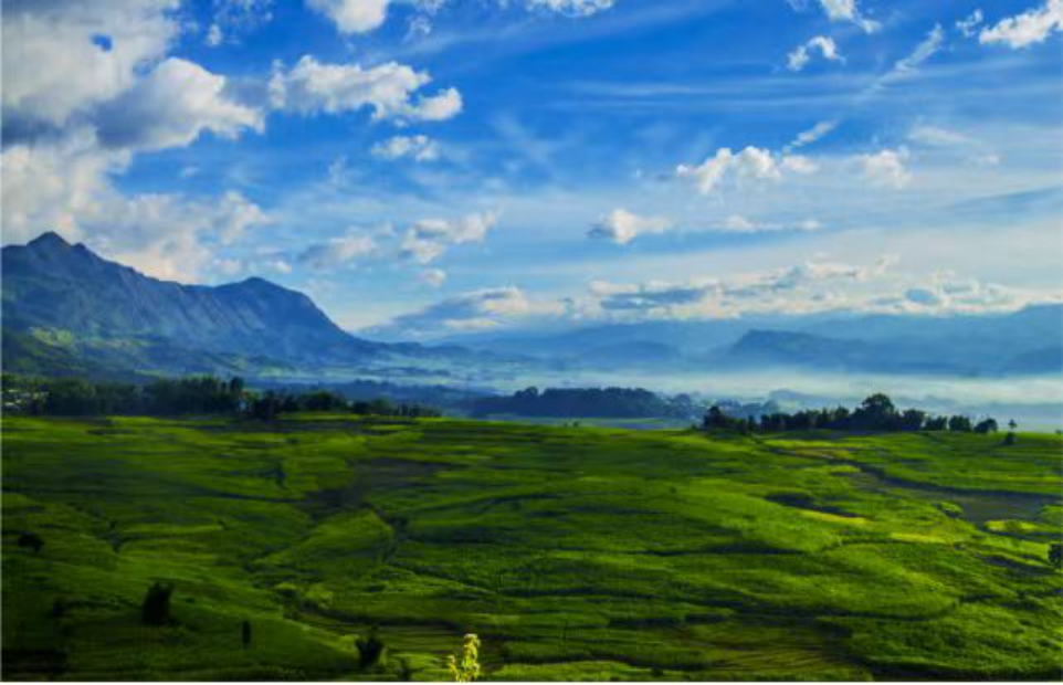 1730250154154073378.png 7b01d278b17dd6c97c573b73567a1a41.png