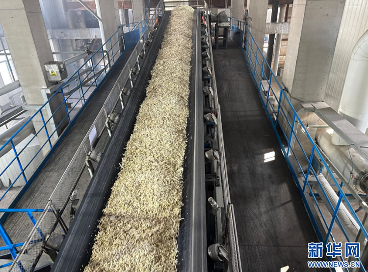 1730271537565063435.png 65a99edf0a8760ebdaed3107dfe43dd.png