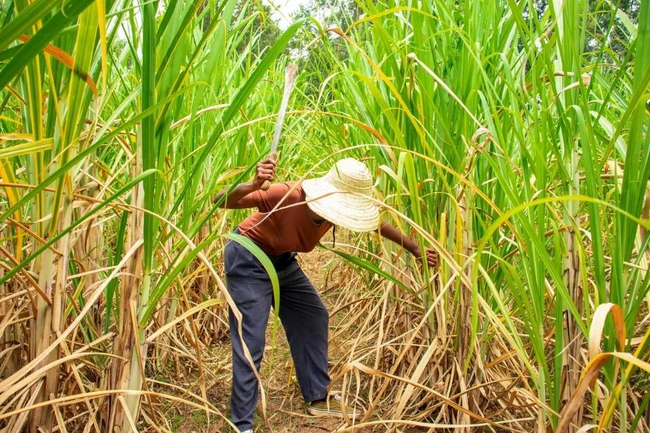 1730766417973013701.jpg 52b446f52833e9b58cc5bb2009c795a4.jpg