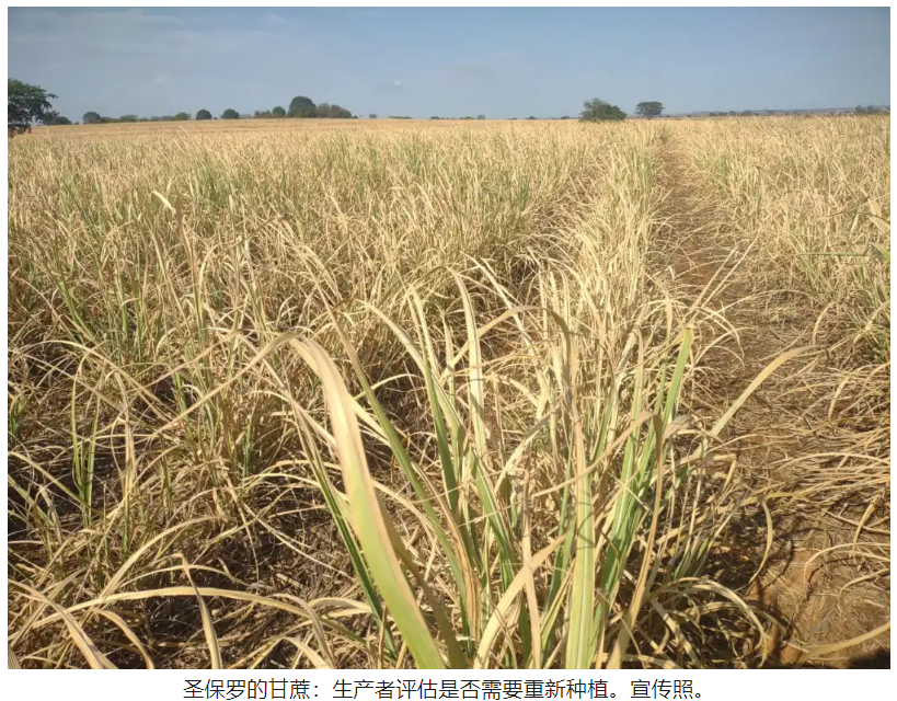 1731890366831010872.png image.png