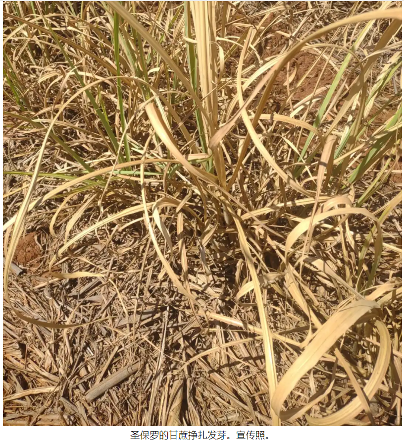 1731890413839056986.png image.png