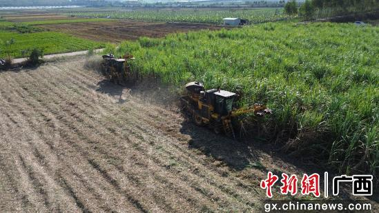 1733360176423013932.png 092d6b621c6f3c765abd113a9ea7bf1.png