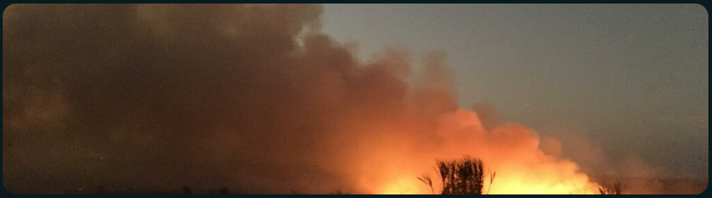 1736153093276040240.png ae2db185534e3e1abe175b9db8903cab.png